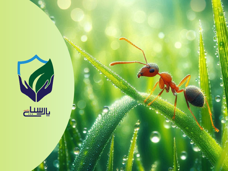 دستگاه دفع مورچه