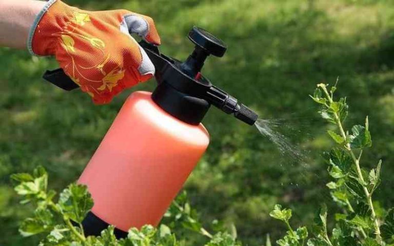 مضرات حشره کش در زندگی انسان
