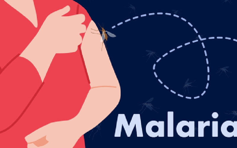 بیماری مالاریا چیست؟