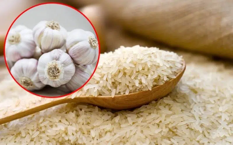 چگونه شپشک برنج را از بین ببریم