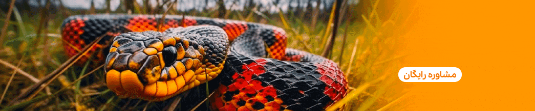 دستگاه مارکش