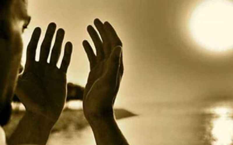 دعا برای دفع سوسک 