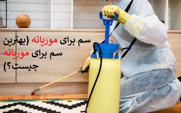 بهترین سم برای از بین بردن موریانه