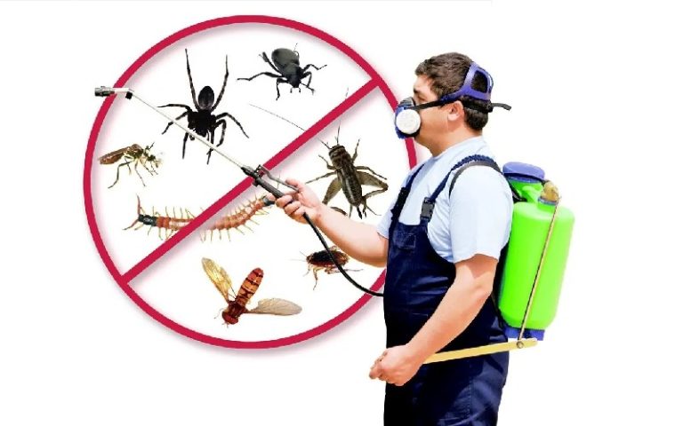 راهنمای انتخاب بهترین سم برای حشرات