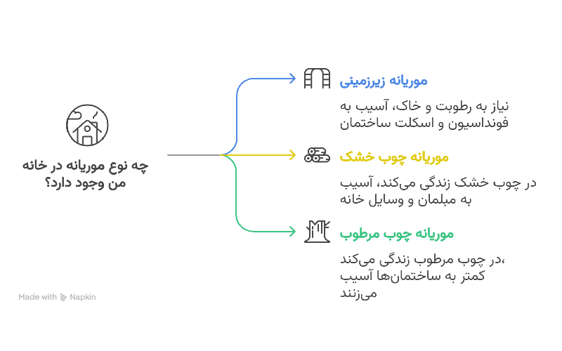 انواع موریانه
