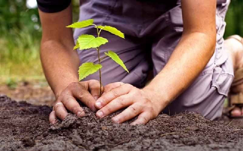 روش‌های حفاظت از محیط زیست و طبیعت