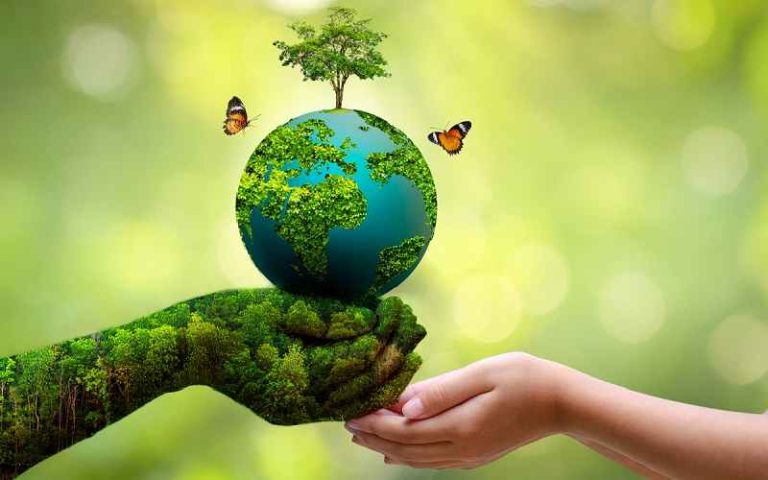 راه‌های حفاظت از محیط زیست: 11 راه برای احترام به طبیعت!