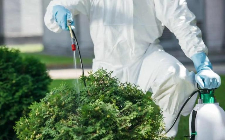 بهترین زمان سم پاشی درختان؛ راهنمای کامل برای خرید و استفاده