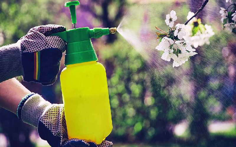 موقع سم پاشی درختان میوه