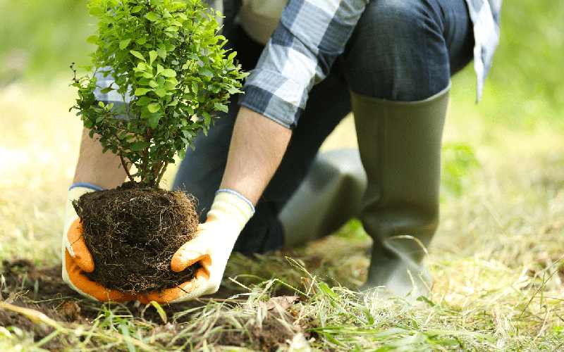 برای جلوگیری از گرم شدن زمین چه باید کرد