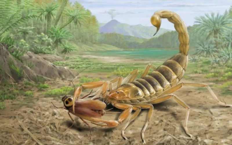 عقرب زرد از چی میترسه