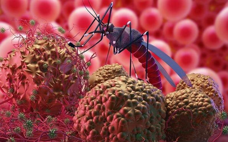 ترسناک ترین حشرات جهان