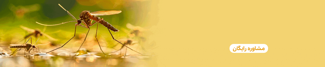 دستگاه پشه کش برقی پارسیان دافع