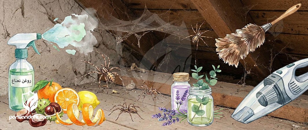 راه های دفع عنکبوت