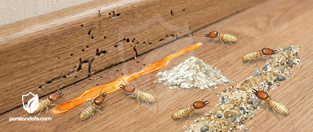 راه های دفع موریانه