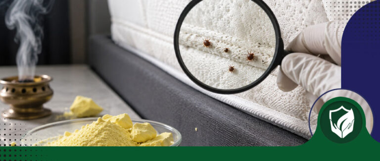 آیا گوگرد برای دفع ساس موثر است؟