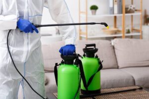 هنگام انتخاب بهترین شرکت سمپاشی ساس به چه نکاتی توجه کنیم؟